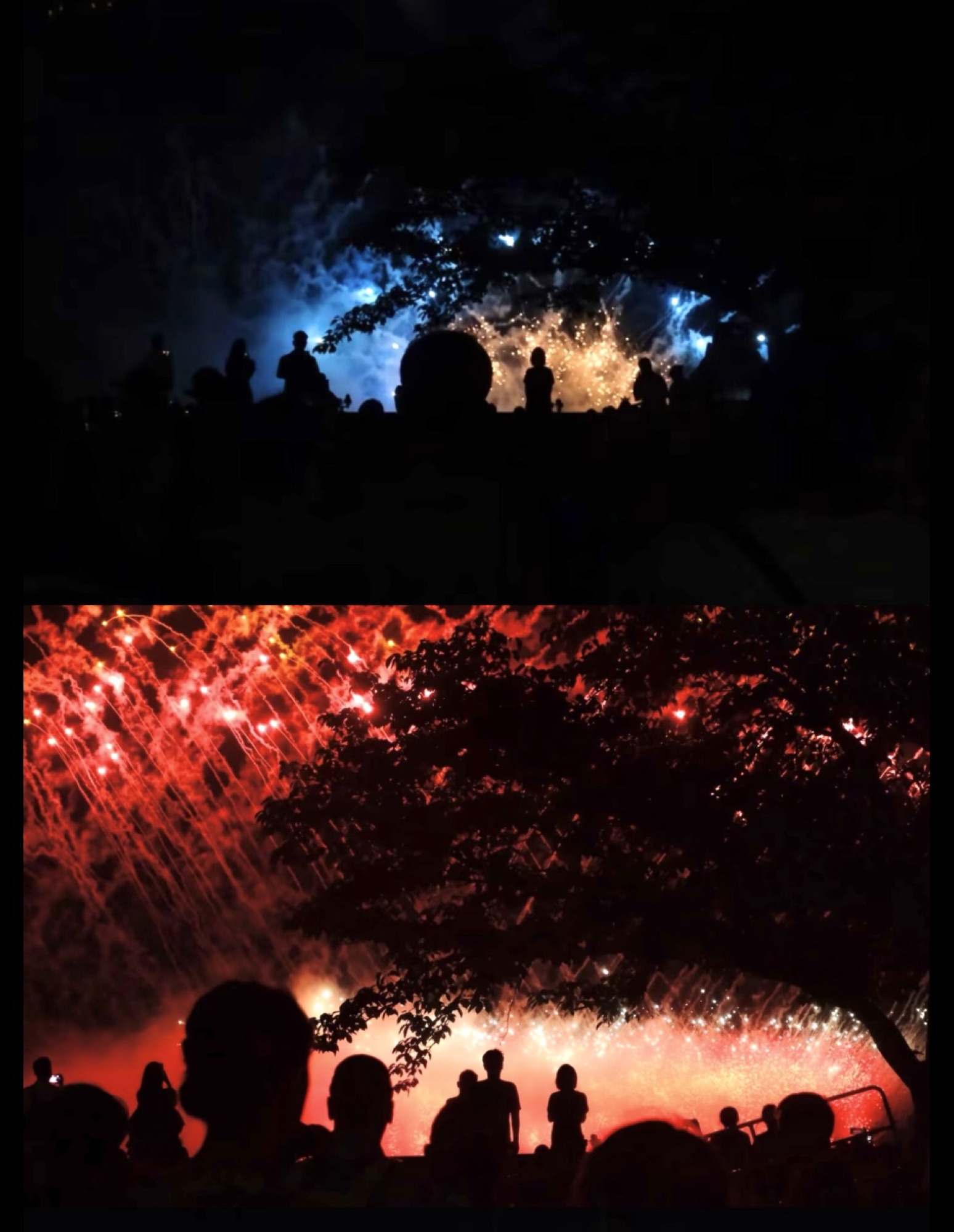 摄影作品 33 桑名夏夜的花火